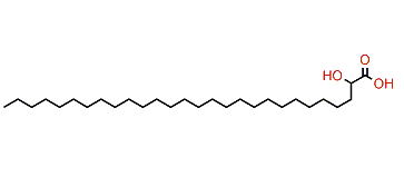 2-Hydroxyoctacosanoic acid